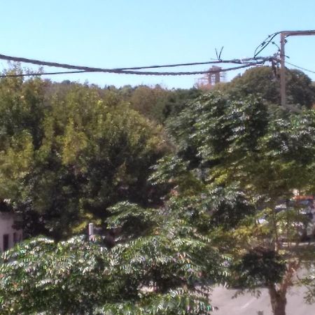 Apollon Apartments H-3 H-4 Rhodes City Bagian luar foto
